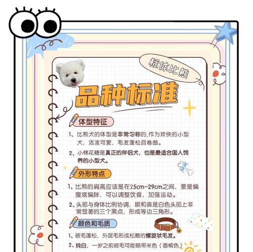 比熊换粮指南（如何合理选择和适应比熊的新粮食）