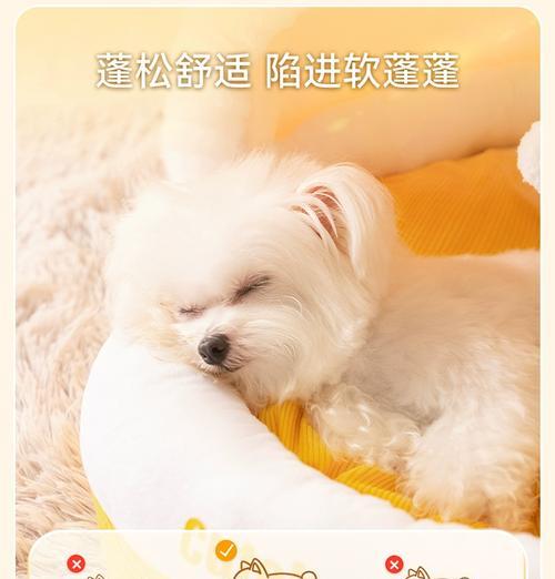 如何训练小狗睡狗窝（让你的小狗快速适应舒适的睡眠环境）