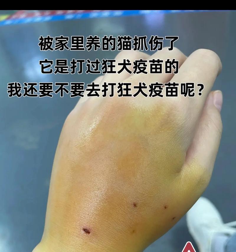 猫被打了三针疫苗却抓人出血（揭开疫苗的神秘面纱——猫疫苗真的靠谱吗？）