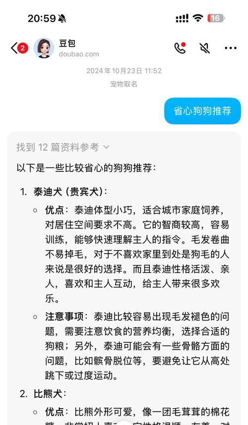 养比熊前的准备工作（如何为养比熊做好准备）