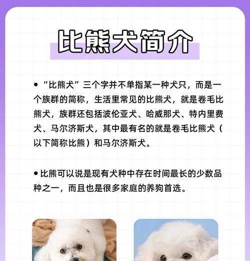 比熊的泪痕问题及推荐的适合比熊吃的狗粮十大排行榜（解决比熊泪痕问题的最佳食物选择）