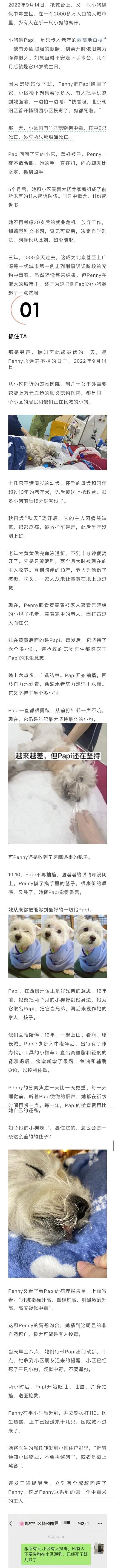 宿命纽带(探寻前世缘,狗犬之情不可言喻)
