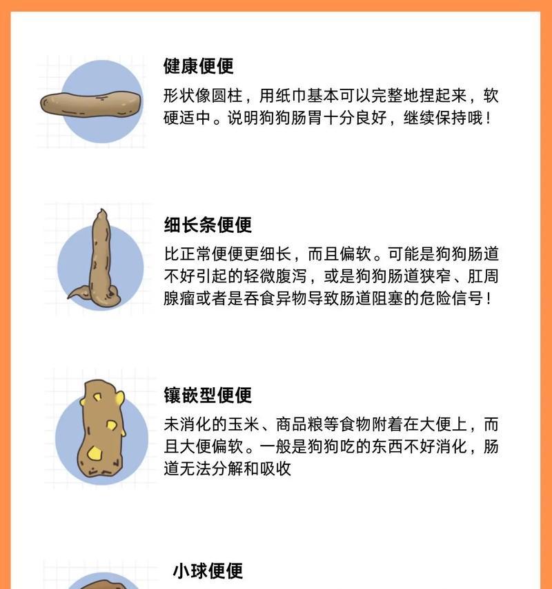 博美犬拉稀能自愈吗？（了解博美犬拉稀的原因和处理方法，保证宠物的健康）