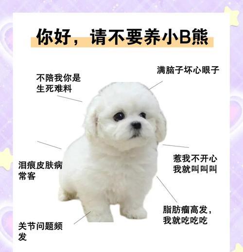 幼犬性格特点及选择指南（活泼还是安静？如何根据幼犬性格选取适合的伴侣）