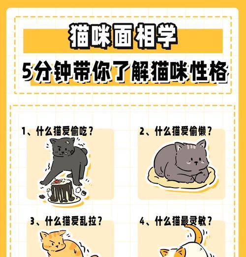 深入解读猫的行为世界(揭秘猫咪行为背后的秘密,探索它们的内心世界)
