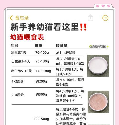 新手养猫必备清单（养猫新手必看的物品清单及购买指南）