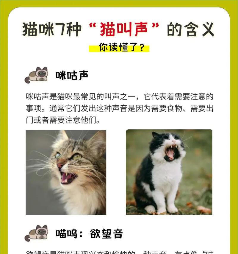 猫的凶恶呜声（猫发出凶恶的呜呜声，到底是什么原因？如何正确应对？）