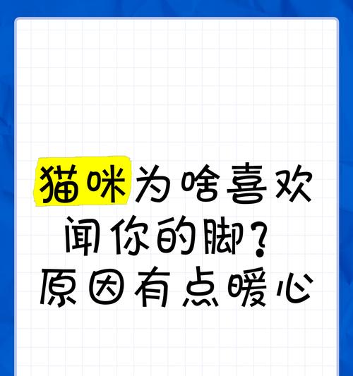 猫咪之爱——探索人类喜欢猫咪的原因（解析人们喜欢猫咪的心理和行为）