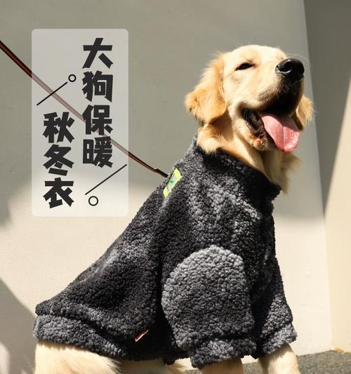 冬季为狗狗穿鞋的必要性（冬天保护狗狗脚掌的关键）