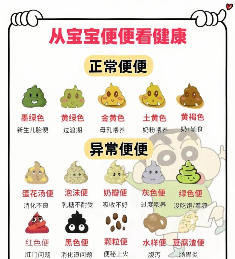 狗狗粑粑的正常排泄方法（探讨狗狗粑粑的形态、颜色及健康问题）