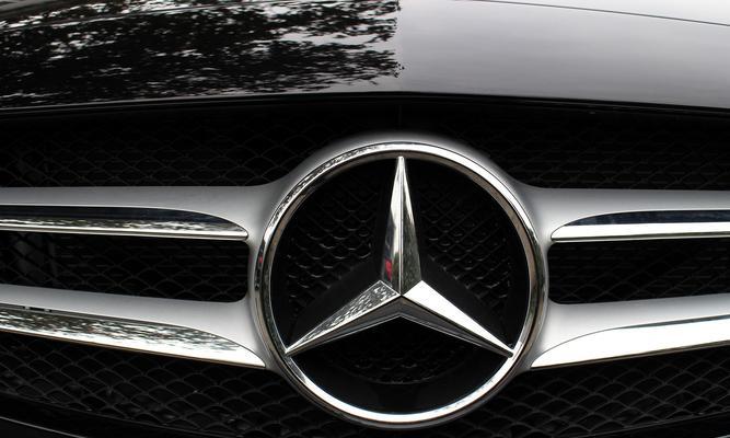 揭秘狗的C级、E级和P级特质及其养育之道