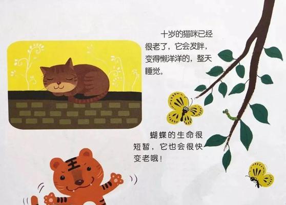 坟场上遇到猫的奇遇（一只神秘猫引发的惊奇时刻）