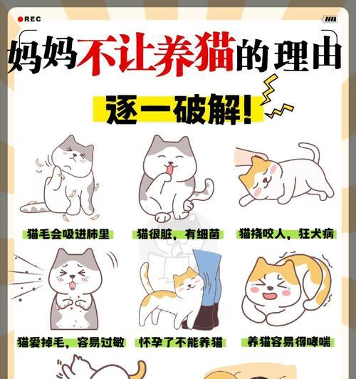 小学生养猫的理由（培养责任感，增强亲子关系）