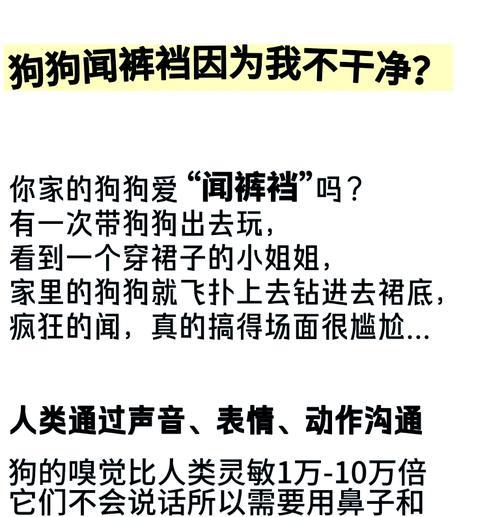 狗闻之效（狗的嗅觉力量是如何影响它们的行为和生活的？）