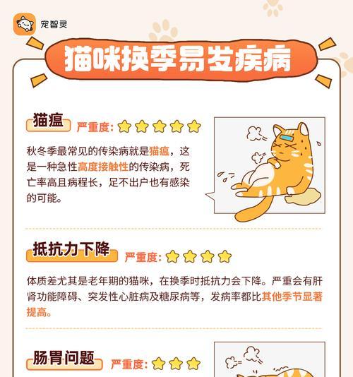 猫咪突然跑进家里，预示着什么？（揭开猫咪行为的玄机，猫咪带来的五种预示）