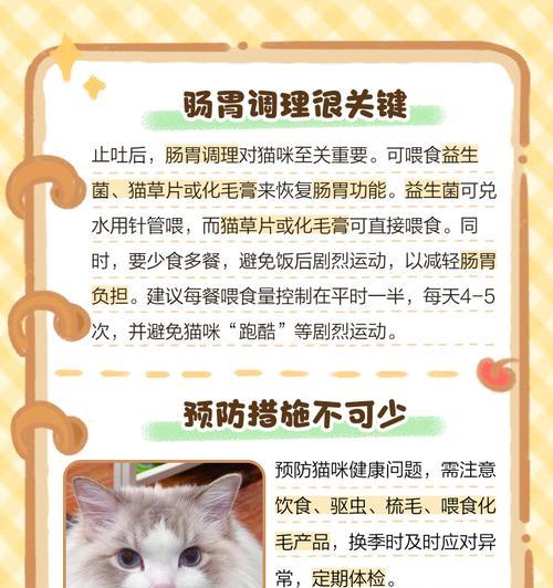 小猫拉稀怎么办？教你有效应对猫咪腹泻问题（专家指导）