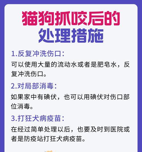 猫咪打完疫苗后需要注意什么？（宠物猫咪的健康护理指南）