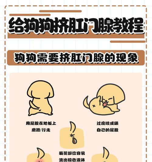 狗狗误食桃核该怎么办？（保护你的爱犬远离食物危险，不要让它们吃桃核！）