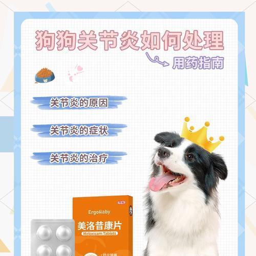 小狗关节康复的良方——关节康（关节康帮助小狗重拾健康，防止关节问题加重）