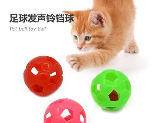 迎接清晨的钟声（美好清晨的开始、Bell猫的晨间习惯、与Bell猫共度美好早晨的点滴）