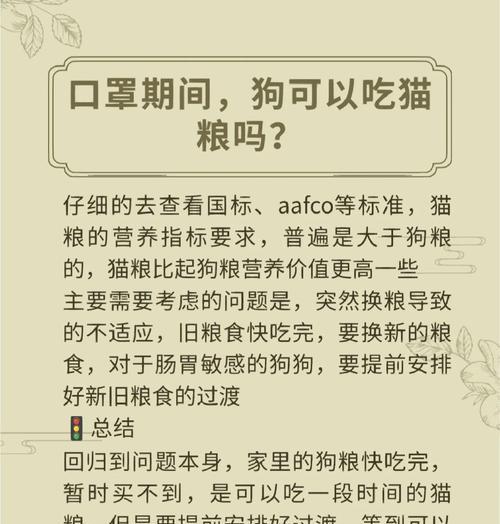 狗狗不想吃干粮？这五种食物可以代替！（健康饮食的关键，让你的狗狗开心吃饭！）
