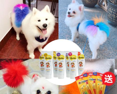 如何给狗狗漂白毛发（简单有效的狗狗毛发漂白方法）