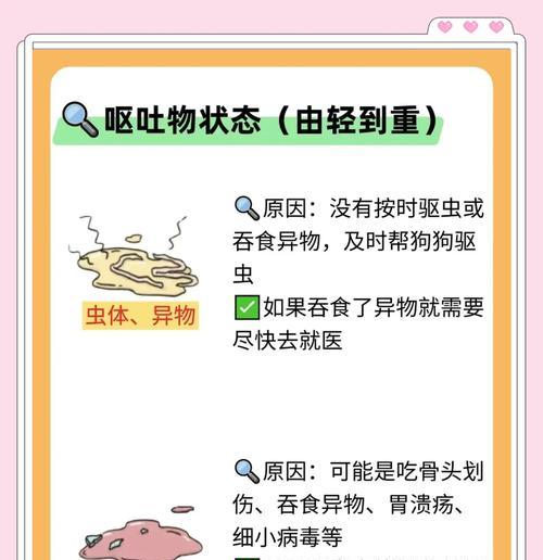 狗狗突然吐了，应该怎么办？（遇到这种情况该如何处理，有关狗狗呕吐的常见原因和应对方法）