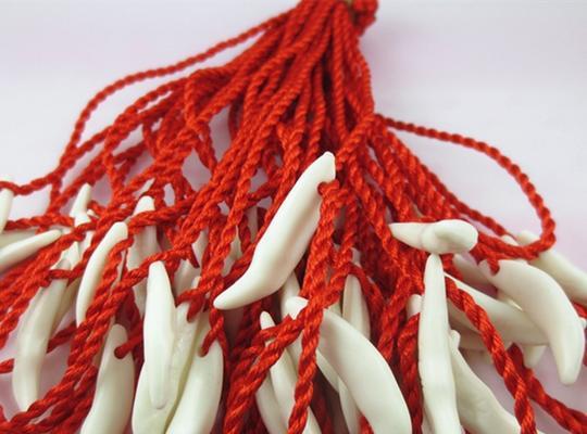 女人带狗牙的禁忌(破解迷信,理解文化遗产)