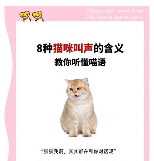 宠物猫配种后是否还会继续叫声?(揭秘猫咪性情的变化以及叫声的原因)