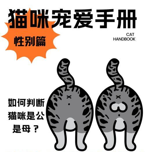 公猫绝育后为何还会叫？（揭开公猫绝育叫声之谜）