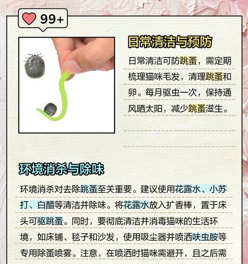 猫咪螨虫的终结战——如何有效去除猫咪身上的螨虫？（从根源入手，彻底消灭猫咪身上的螨虫！）