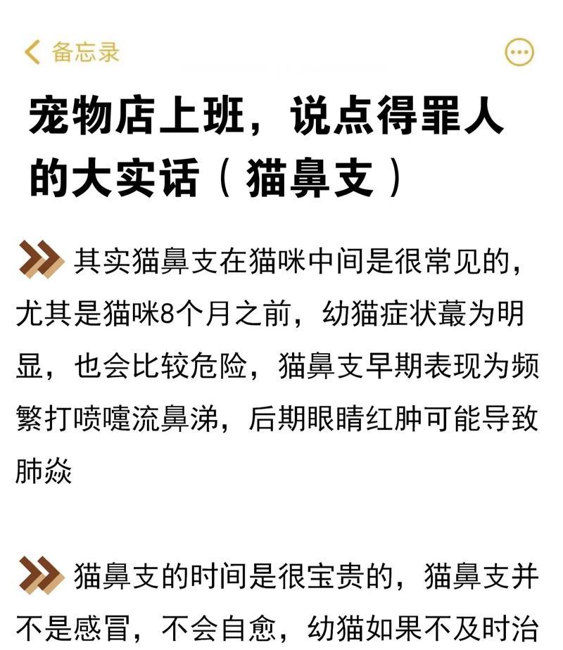 如何快速清理猫鼻支？（简单有效的方法帮助你解决猫鼻塞问题）