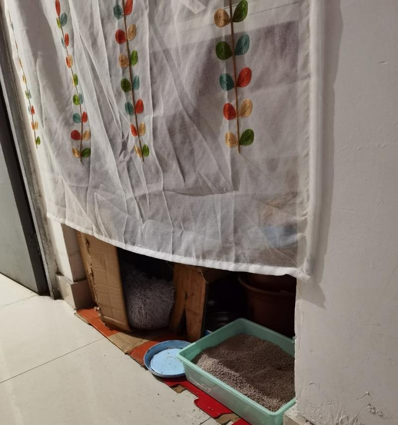楼道养猫，是否违法？（以楼道养猫的利与弊）