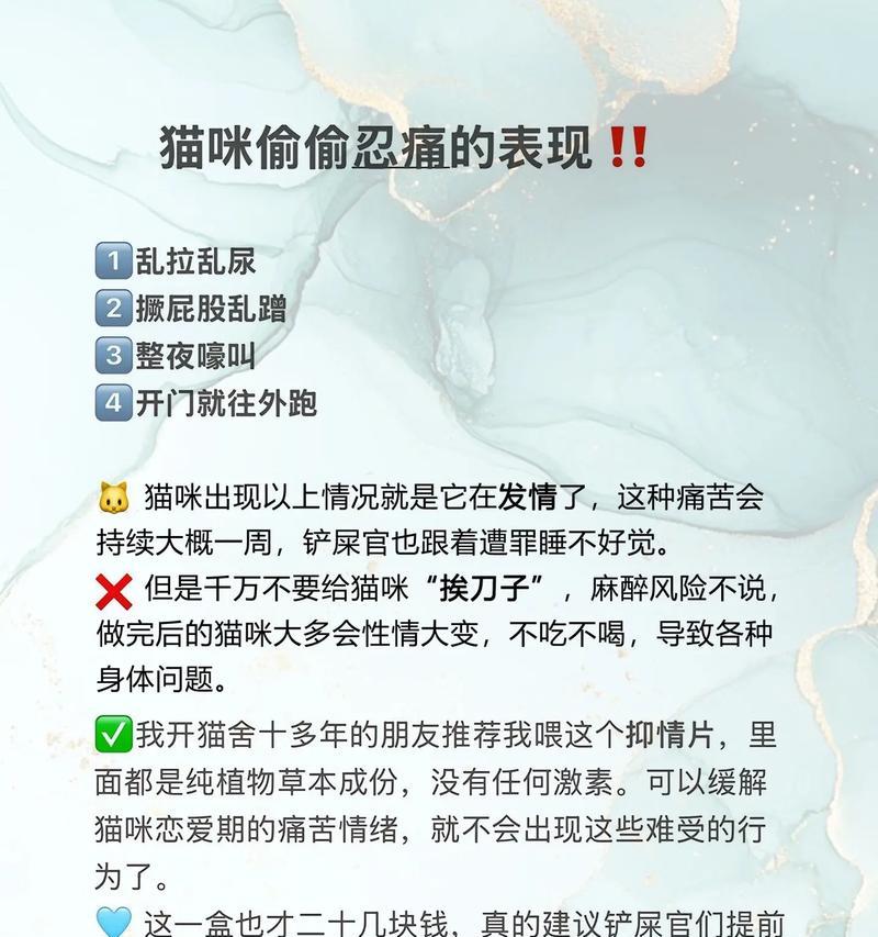 揭秘猫咪半夜频繁嚎叫的原因(是因为寻找配偶还是因为肚子饿?)