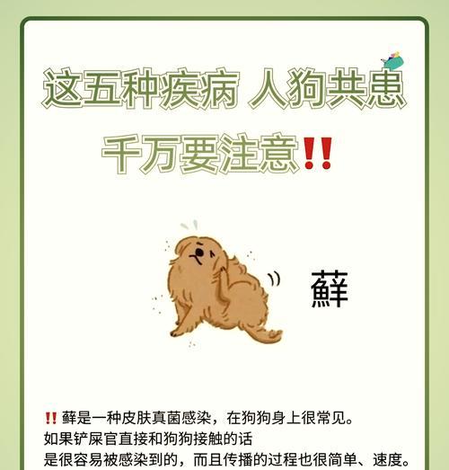 摸狗可能导致寄生虫传染的危险（小心！经常接触宠物狗可能会增加感染寄生虫的风险）